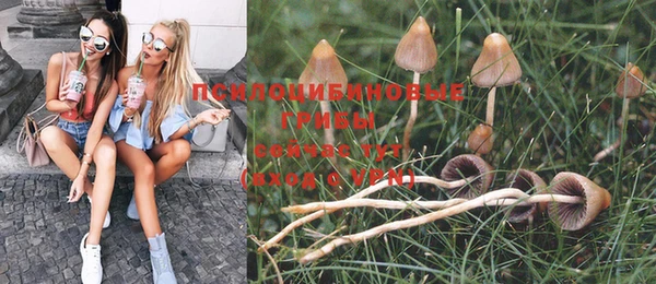 MDMA Premium VHQ Новокубанск