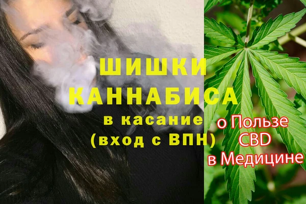 СК Нефтегорск