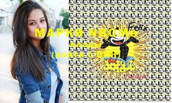 стафф Новодвинск