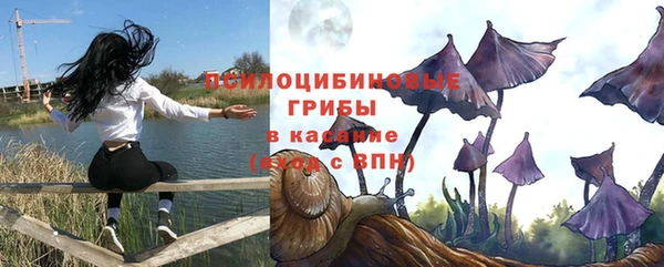 стафф Новодвинск