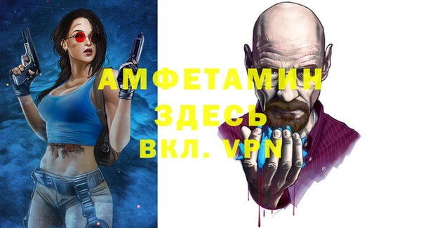 стафф Новодвинск